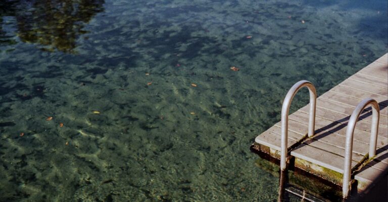 Crystal-clear natural spring water and a wooden dock, the kind of spring-fed swimming spot found around Pasco County, Florida
