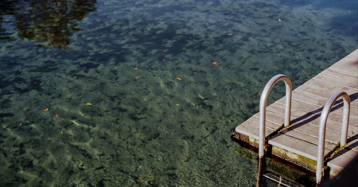 Pasco County’s Natural Springs Are the Best Way to Beat the Summer Heat