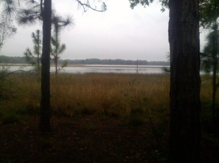 Lake Rogers in Odessa, Pasco County, Florida