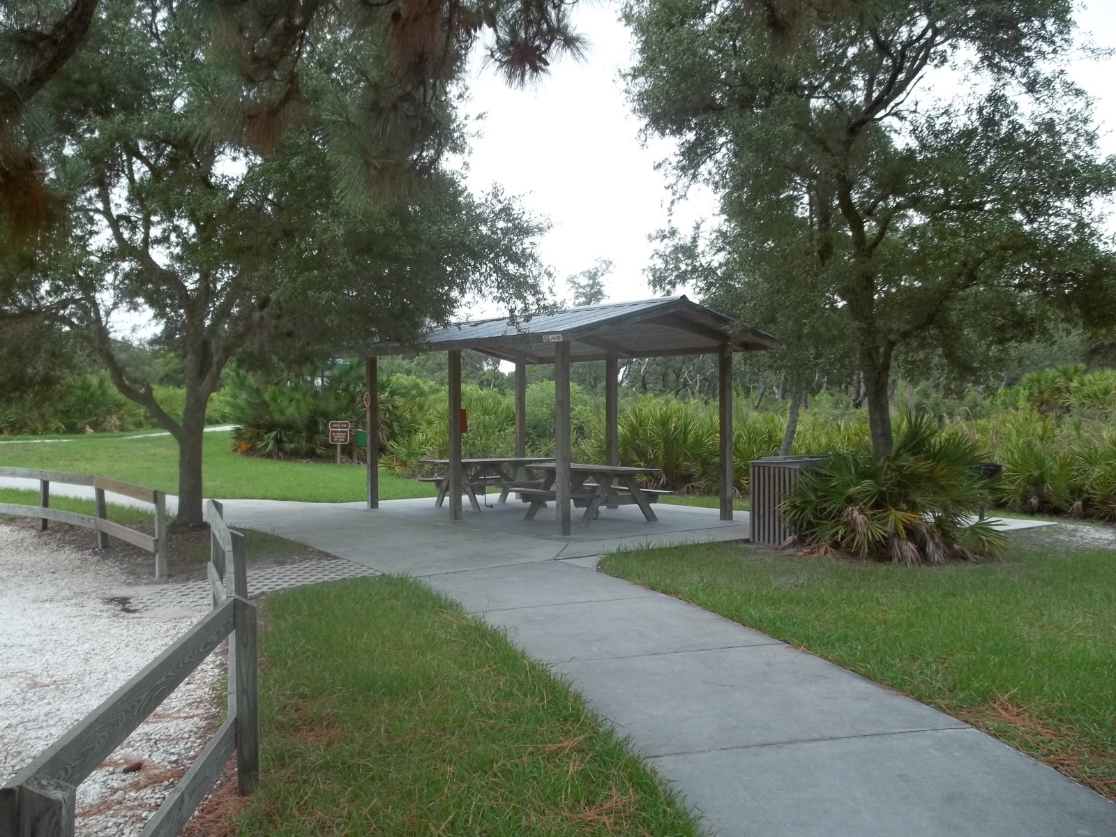 Trail and pines at Werner-Boyce Salt Springs State Park, Port Richey