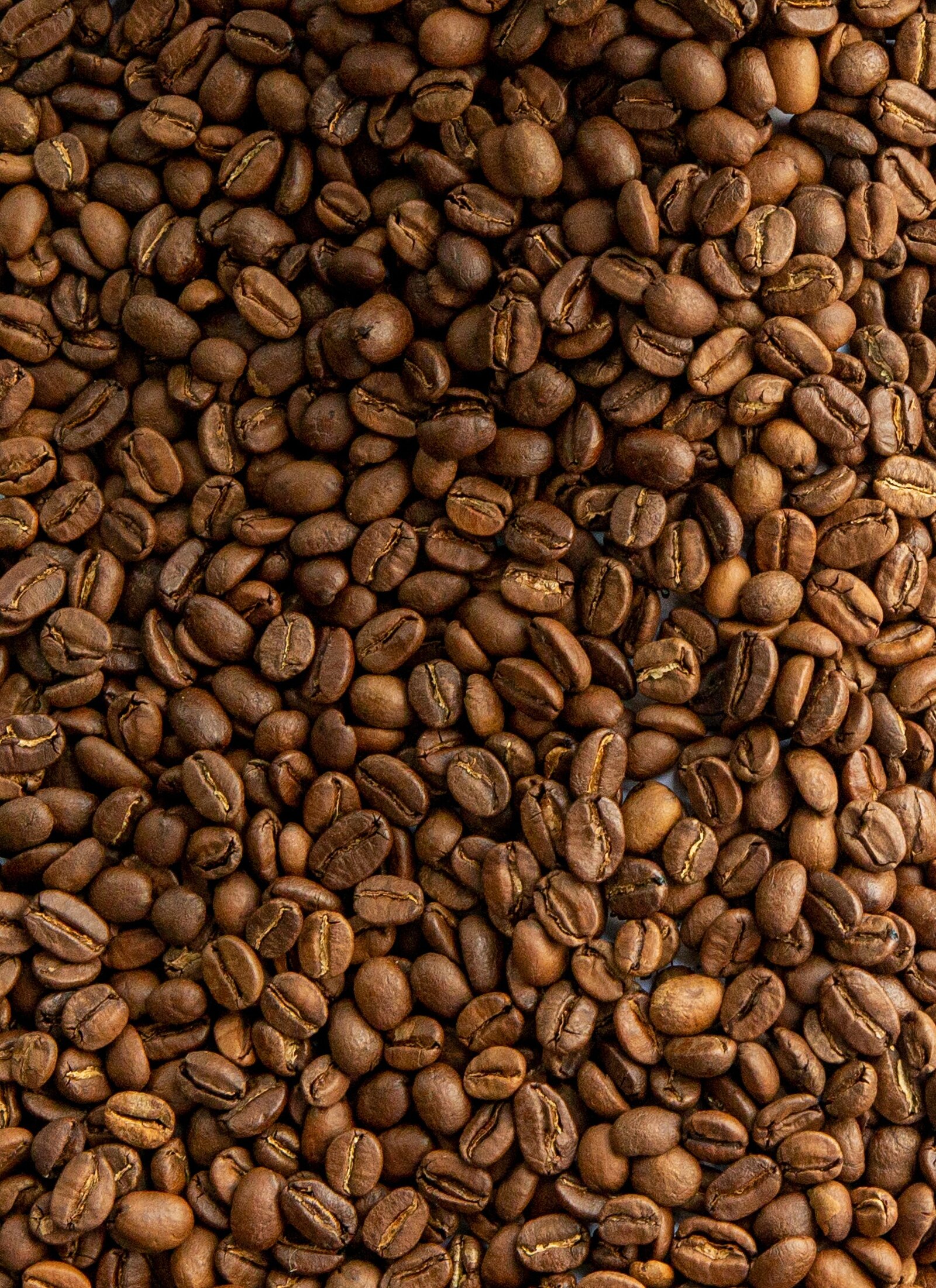 Close-up of roasted coffee beans, Cuban Grounds Coffee