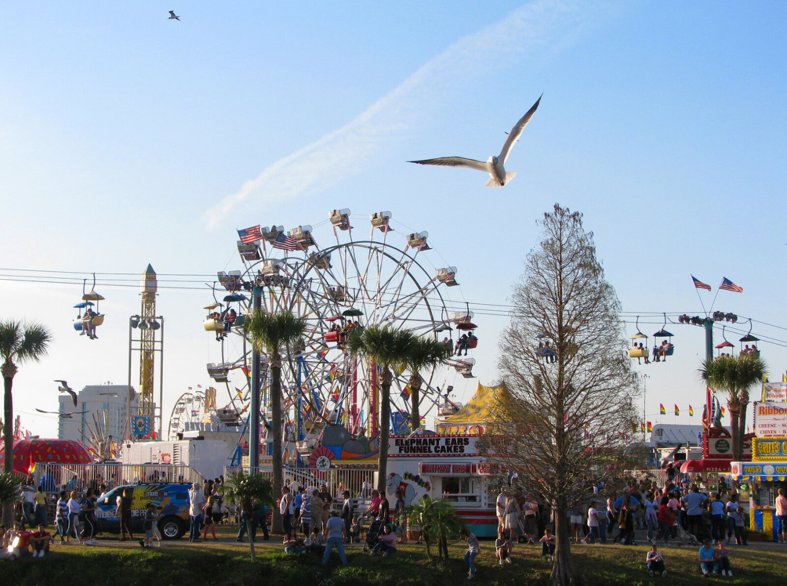 Ferris wheel at a fall festival, representative image